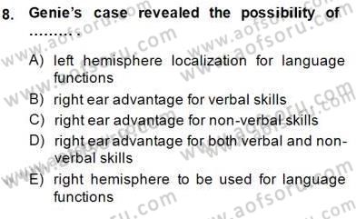 Dilbilim 2 Dersi 2014 - 2015 Yılı (Vize) Ara Sınavı 8. Soru