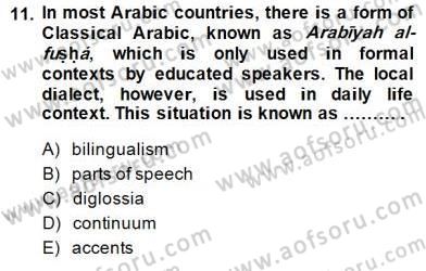 Dilbilim 2 Dersi 2014 - 2015 Yılı (Final) Dönem Sonu Sınav Soruları 11. Soru