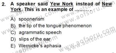 Dilbilim 2 Dersi 2014 - 2015 Yılı (Final) Dönem Sonu Sınav Soruları 2. Soru