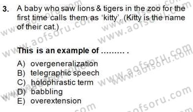 Dilbilim 2 Dersi 2014 - 2015 Yılı (Final) Dönem Sonu Sınav Soruları 3. Soru