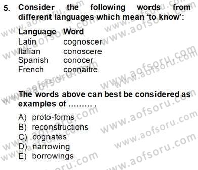 Dilbilim 2 Dersi 2014 - 2015 Yılı (Final) Dönem Sonu Sınav Soruları 5. Soru