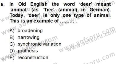 Dilbilim 2 Dersi 2014 - 2015 Yılı (Final) Dönem Sonu Sınav Soruları 6. Soru