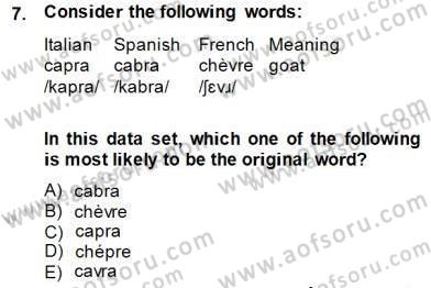 Dilbilim 2 Dersi 2014 - 2015 Yılı (Final) Dönem Sonu Sınav Soruları 7. Soru