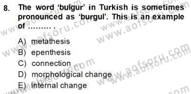 Dilbilim 2 Dersi 2014 - 2015 Yılı (Final) Dönem Sonu Sınavı 8. Soru