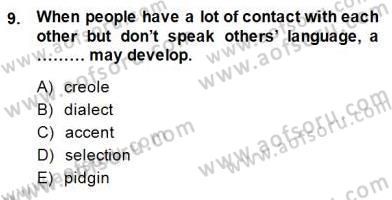 Dilbilim 2 Dersi 2014 - 2015 Yılı (Final) Dönem Sonu Sınav Soruları 9. Soru