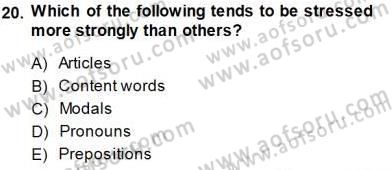 Çocuklara Yabancı Dil Öğretimi 1 Dersi 2013 - 2014 Yılı (Final) Dönem Sonu Sınav Soruları 20. Soru