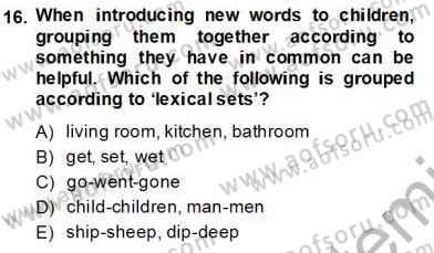 Çocuklara Yabancı Dil Öğretimi 1 Dersi 2013 - 2014 Yılı Tek Ders Sınav Soruları 16. Soru