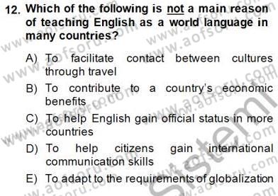 Çocuklara Yabancı Dil Öğretimi 1 Dersi 2014 - 2015 Yılı (Vize) Ara Sınav Soruları 12. Soru