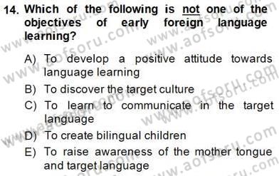 Çocuklara Yabancı Dil Öğretimi 1 Dersi 2014 - 2015 Yılı (Vize) Ara Sınav Soruları 14. Soru