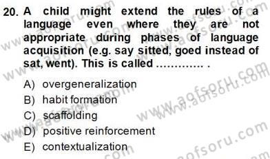 Çocuklara Yabancı Dil Öğretimi 1 Dersi 2014 - 2015 Yılı (Vize) Ara Sınav Soruları 20. Soru