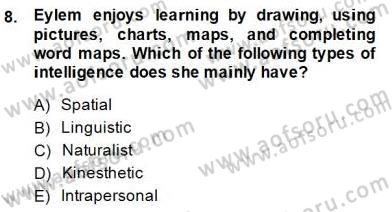Çocuklara Yabancı Dil Öğretimi 1 Dersi 2014 - 2015 Yılı (Vize) Ara Sınav Soruları 8. Soru