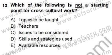 Çocuklara Yabancı Dil Öğretimi 2 Dersi 2014 - 2015 Yılı (Vize) Ara Sınav Soruları 13. Soru