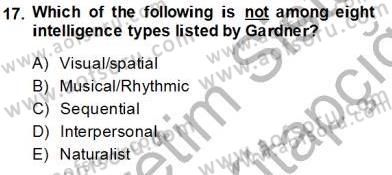 İngilizce Öğretiminde Yaklaşımlar Dersi 2013 - 2014 Yılı Tek Ders Sınav Soruları 17. Soru
