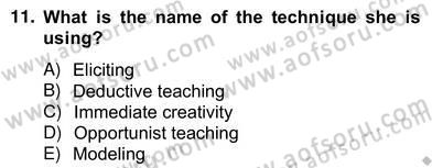 Dilbilgisi Öğretimi Dersi 2012 - 2013 Yılı (Vize) Ara Sınav Soruları 11. Soru