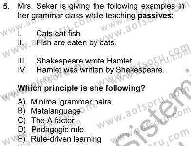 Dilbilgisi Öğretimi Dersi 2012 - 2013 Yılı (Vize) Ara Sınav Soruları 5. Soru