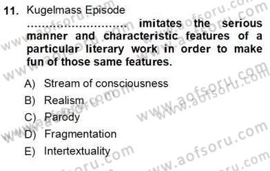 İngiliz/Amerikan Edebiyatı 1 Dersi Ara Sınavı Deneme Sınav Soruları 11. Soru