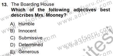 İngiliz/Amerikan Edebiyatı 1 Dersi Ara Sınavı Deneme Sınav Soruları 13. Soru