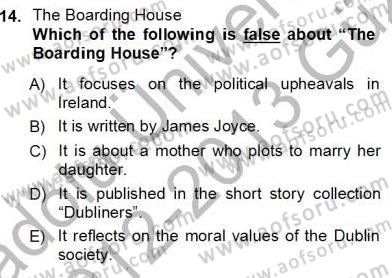 İngiliz/Amerikan Edebiyatı 1 Dersi Ara Sınavı Deneme Sınav Soruları 14. Soru