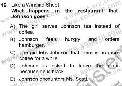 İngiliz/Amerikan Edebiyatı 1 Dersi Ara Sınavı Deneme Sınav Soruları 16. Soru