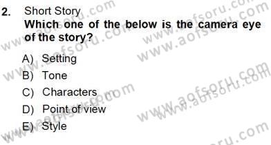 İngiliz/Amerikan Edebiyatı 1 Dersi Ara Sınavı Deneme Sınav Soruları 2. Soru