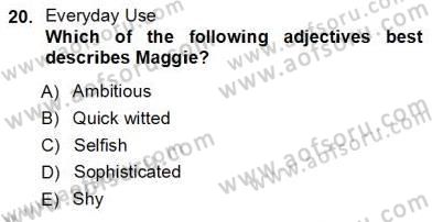 İngiliz/Amerikan Edebiyatı 1 Dersi Ara Sınavı Deneme Sınav Soruları 20. Soru