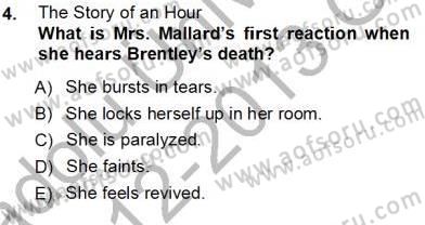 İngiliz/Amerikan Edebiyatı 1 Dersi Ara Sınavı Deneme Sınav Soruları 4. Soru