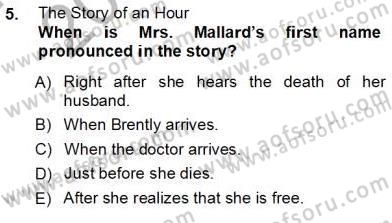 İngiliz/Amerikan Edebiyatı 1 Dersi Ara Sınavı Deneme Sınav Soruları 5. Soru