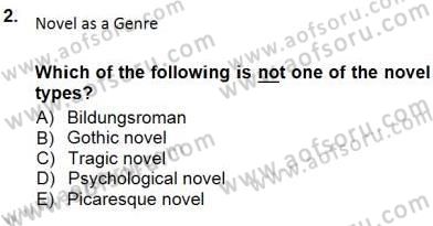 İngiliz/Amerikan Edebiyatı 1 Dersi 2012 - 2013 Yılı (Final) Dönem Sonu Sınavı 2. Soru