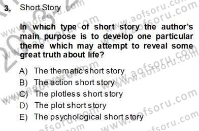 İngiliz/Amerikan Edebiyatı 1 Dersi 2013 - 2014 Yılı (Vize) Ara Sınavı 3. Soru