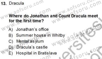 İngiliz/Amerikan Edebiyatı 1 Dersi 2013 - 2014 Yılı (Final) Dönem Sonu Sınav Soruları 13. Soru