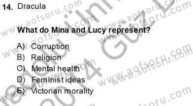 İngiliz/Amerikan Edebiyatı 1 Dersi 2013 - 2014 Yılı (Final) Dönem Sonu Sınav Soruları 14. Soru