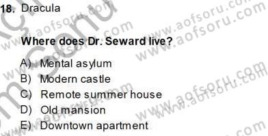 İngiliz/Amerikan Edebiyatı 1 Dersi 2013 - 2014 Yılı (Final) Dönem Sonu Sınav Soruları 18. Soru