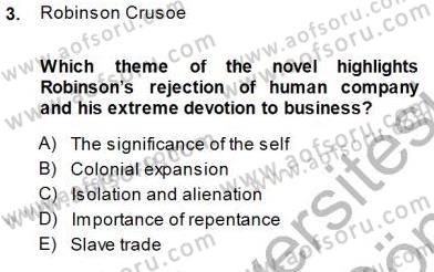 İngiliz/Amerikan Edebiyatı 1 Dersi 2013 - 2014 Yılı (Final) Dönem Sonu Sınav Soruları 3. Soru