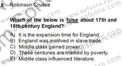 İngiliz/Amerikan Edebiyatı 1 Dersi 2013 - 2014 Yılı (Final) Dönem Sonu Sınav Soruları 8. Soru
