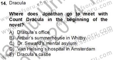 İngiliz/Amerikan Edebiyatı 1 Dersi 2013 - 2014 Yılı Tek Ders Sınav Soruları 14. Soru