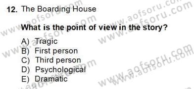 İngiliz/Amerikan Edebiyatı 1 Dersi 2014 - 2015 Yılı (Vize) Ara Sınavı 12. Soru