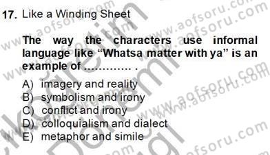 İngiliz/Amerikan Edebiyatı 1 Dersi 2014 - 2015 Yılı (Vize) Ara Sınavı 17. Soru