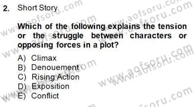 İngiliz/Amerikan Edebiyatı 1 Dersi 2014 - 2015 Yılı (Vize) Ara Sınavı 2. Soru