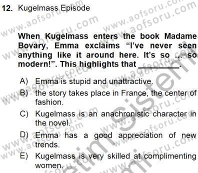 İngiliz/Amerikan Edebiyatı 1 Dersi Ara Sınavı Deneme Sınav Soruları 12. Soru