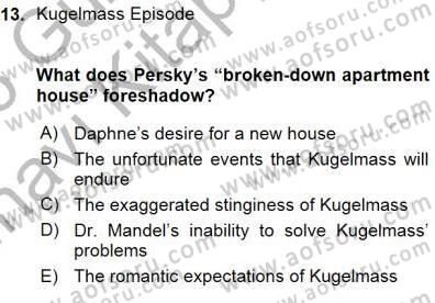 İngiliz/Amerikan Edebiyatı 1 Dersi Ara Sınavı Deneme Sınav Soruları 13. Soru