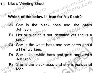 İngiliz/Amerikan Edebiyatı 1 Dersi Ara Sınavı Deneme Sınav Soruları 16. Soru