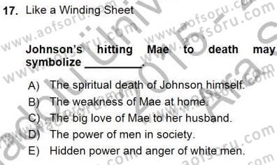 İngiliz/Amerikan Edebiyatı 1 Dersi Ara Sınavı Deneme Sınav Soruları 17. Soru