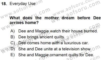 İngiliz/Amerikan Edebiyatı 1 Dersi Ara Sınavı Deneme Sınav Soruları 18. Soru