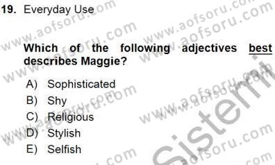 İngiliz/Amerikan Edebiyatı 1 Dersi Ara Sınavı Deneme Sınav Soruları 19. Soru