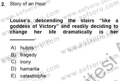 İngiliz/Amerikan Edebiyatı 1 Dersi Ara Sınavı Deneme Sınav Soruları 2. Soru