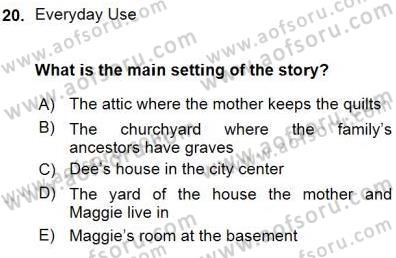 İngiliz/Amerikan Edebiyatı 1 Dersi Ara Sınavı Deneme Sınav Soruları 20. Soru