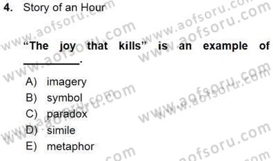 İngiliz/Amerikan Edebiyatı 1 Dersi Ara Sınavı Deneme Sınav Soruları 4. Soru