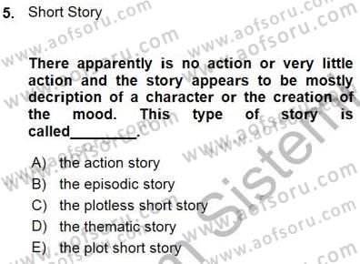 İngiliz/Amerikan Edebiyatı 1 Dersi Ara Sınavı Deneme Sınav Soruları 5. Soru