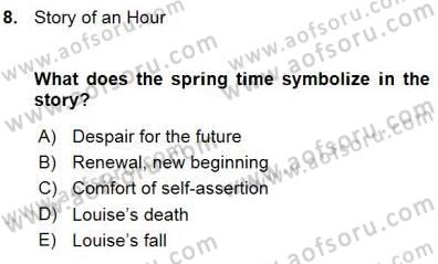 İngiliz/Amerikan Edebiyatı 1 Dersi Ara Sınavı Deneme Sınav Soruları 8. Soru