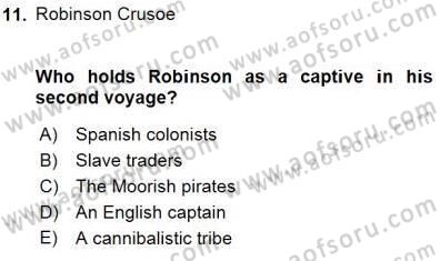 İngiliz/Amerikan Edebiyatı 1 Dersi 2015 - 2016 Yılı (Final) Dönem Sonu Sınav Soruları 11. Soru